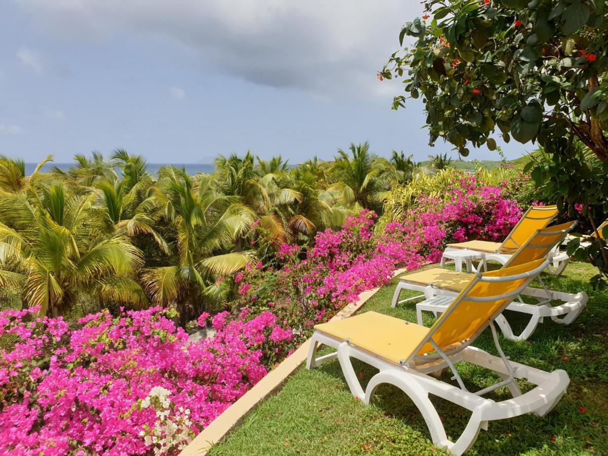 Villa Guadeloupe Saint François Accès Mer Piscine IGUANA BAY - Villa Zagadi Saint-Francois (Grande-Terre) Exterior foto
