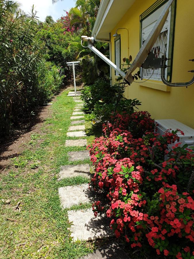 Villa Guadeloupe Saint François Accès Mer Piscine IGUANA BAY - Villa Zagadi Saint-Francois (Grande-Terre) Exterior foto